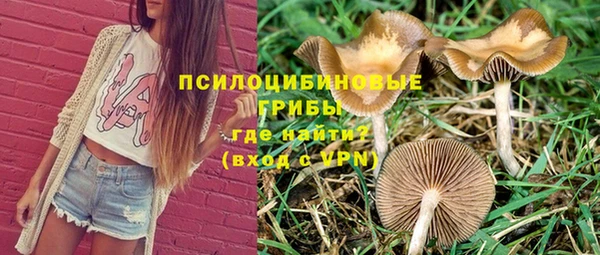 мяу мяу мука Гусиноозёрск