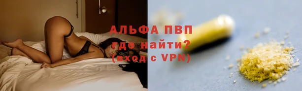 мяу мяу мука Гусиноозёрск