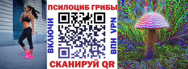 Псилоцибиновые грибы прущие грибы  магазин  наркотиков  Сегежа 